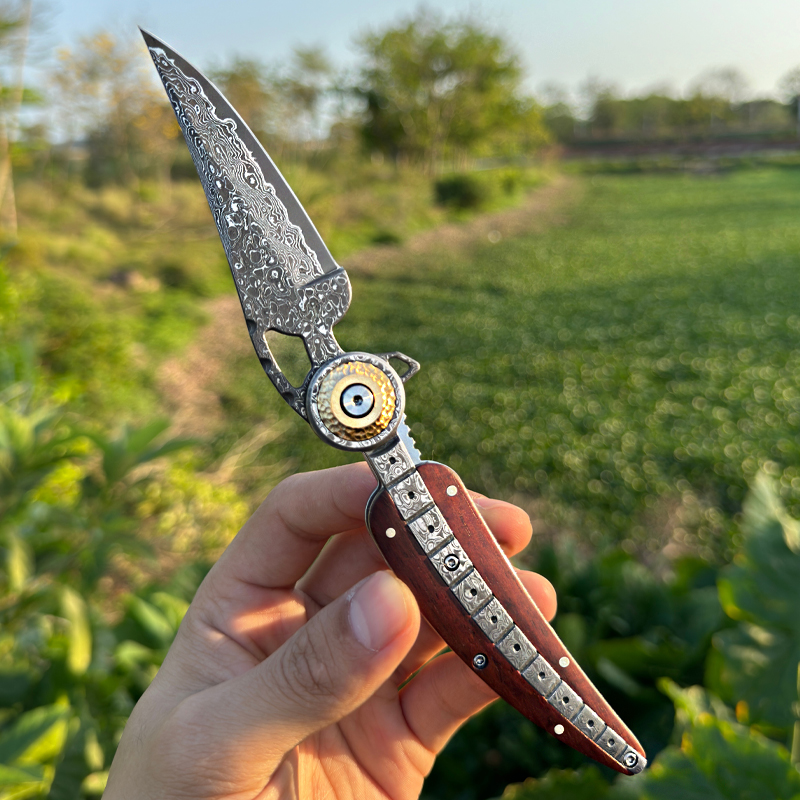 Coltello pieghevole in acciaio - Everyday Carry (Edc) Knife recensione e prezzo